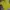 Nike Sportswear Jersey Pria yellow photo 1