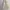 Streetwear Casual Puffer jacket Wanita cream photo 1