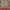 Streetwear Track jacket Pria multicolor green photo 1