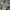 Japanese brand Casual Sweater Pria tan photo 4