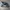 Adidas Casual Casual shoe Pria navy blue photo 1