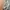 Streetwear Gorpcore Tracksuit Pria gray photo 4