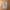 Streetwear Gorpcore Tracksuit Pria gray photo 1