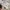 Japanese brand Streetwear Casual Hat Pria white gray photo 1