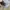 Japanese brand Streetwear Casual Hat Pria white gray photo 2
