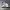 Adidas Casual Casual Shoe Pria White Black