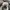 Adidas Casual Casual shoe Pria white black photo 5