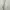 Vintage Casual dress Wanita white photo 1