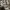 Converse Grunge Indie Casual shoe Pria tan brown photo 2