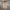 45rpm Vintage Streetwear Casual pants Pria tan photo 4
