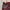 Streetwear Avant Garde Jeans Pria red photo 5
