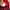 Streetwear Avant Garde Jeans Pria red photo 6
