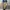 Undercoverism Y2K Avant Garde Casual pants Pria brown photo 1