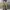 Undercoverism Y2K Avant Garde Casual pants Pria brown photo 2