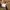 Undercoverism Y2K Avant Garde Casual pants Pria brown photo 6