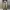 Undercoverism Y2K Avant Garde Casual pants Pria brown photo 3