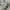 Streetwear Y2K Jumper Pria gray photo 4