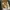 Clarks Vintage Casual Casual shoe Pria tan photo 1