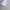 Uniqlo Minimalist Casual Casual shirt Pria white photo 6