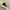 Converse Casual Sneakers Wanita white black photo 3