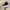 Converse Casual Sneakers Wanita white black photo 4
