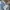 Quiksilver Streetwear Y2K Jeans Pria navy photo 4