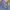 Sportswear Short Pria navy gray photo 7