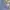 Sportswear Short Pria navy gray photo 5