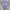 Sportswear Short Pria navy gray photo 6