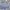 Sportswear Short Pria navy gray photo 4