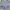 Sportswear Short Pria navy gray photo 1