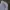 Y2K Sportswear T-shirt Pria gray photo 5