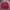 Sergio Tacchini Vintage Casual Sweater Pria red photo 1