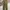 Uniqlo Casual Casual pants Pria green photo 2
