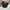MUSINSA STANDARD Casual Casual pants Pria gray photo 1