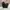 Uniqlo Y2K Casual Casual pants Pria black photo 1