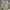 Polo Ralph Lauren Casual Casual pants Pria cream photo 4