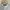 Issey Miyake Avant Garde Casual Formal shirt Pria white photo 5