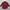Lacoste Vintage Luxury Formal shirt Pria red black photo 1