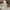 Guess Vintage Hat Pria cream photo 4