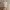 Guess Vintage Hat Pria cream photo 1