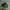 Nike Streetwear Y2K Sneakers Pria green black photo 1