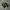 Nike Streetwear Y2K Sneakers Pria green black photo 2