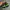 Nike Streetwear Y2K Sneakers Pria green black photo 4