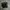 Nike Streetwear Y2K Sneakers Pria green black photo 3