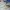 Adidas Skater Casual Sneakers Pria white photo 2