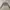 Alexander Wang Avant Garde Cardigan Wanita gray photo 8