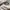 Adidas Casual Sneakers Wanita white tan photo 2
