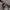Y2K Cosplay Belt Pria silver brown photo 2