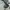 Minimalist Casual Stroller Kids black photo 5